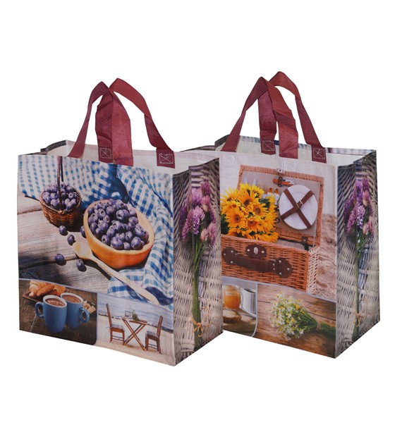 FRASPO Torba z PP PIKNIK RELAX 35x20x35 24 L. (po 25 sztuk)