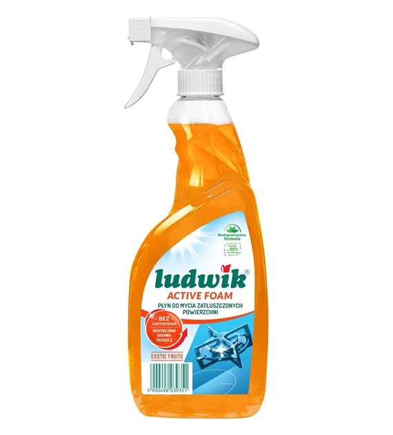 LUDWIK Spray do zatłuszczonych powierzchni / 600ml