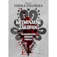 KRYMINALNE ZAKOPANE BEATA SABAŁA-ZIELIŃSKA