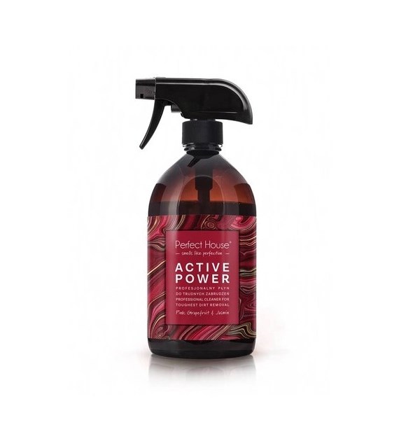 BARWA Perfect House Profesjonalny Płyn do trudnych zabrudzeń Active Power 480ml