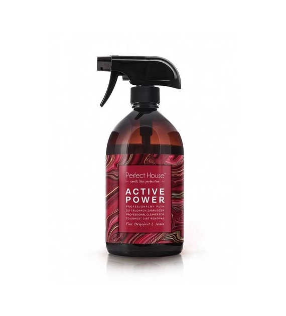 BARWA Perfect House Profesjonalny Płyn do trudnych zabrudzeń Active Power 480ml