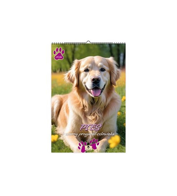 2026 KAL.ścienny Pies przyjaciel człowieka A3 VD12