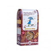 NATUR-VIT Herbatka owocowo-ziołowa NA JESIENNE SŁOTY SUPLEMENT DIETY 100g