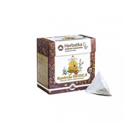 NATUR-VIT Herbatka ziołowo-owocowa ekspresowa KONTROLA INFEKCJI SUPLEMENT DIETY 20*2g=40g