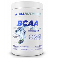 ALLNUTRITION BCAA Max Jagoda -500g