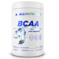 ALLNUTRITION BCAA Max Jagoda -500g