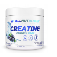 ALLNUTRITION CREATINE MUSCLE MAX 250g  BLUEBERRY