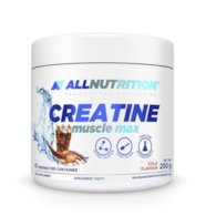 ALLNUTRITION CREATINE MUSCLE MAX 250g KREATYNA TAURYNA MIĘŚNIE MASA ENERGIA
