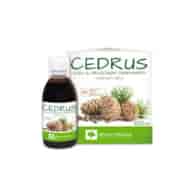ALTER MEDICA CEDRUS 100 ML OLEJ Z ORZECHÓW CEDROWYCH